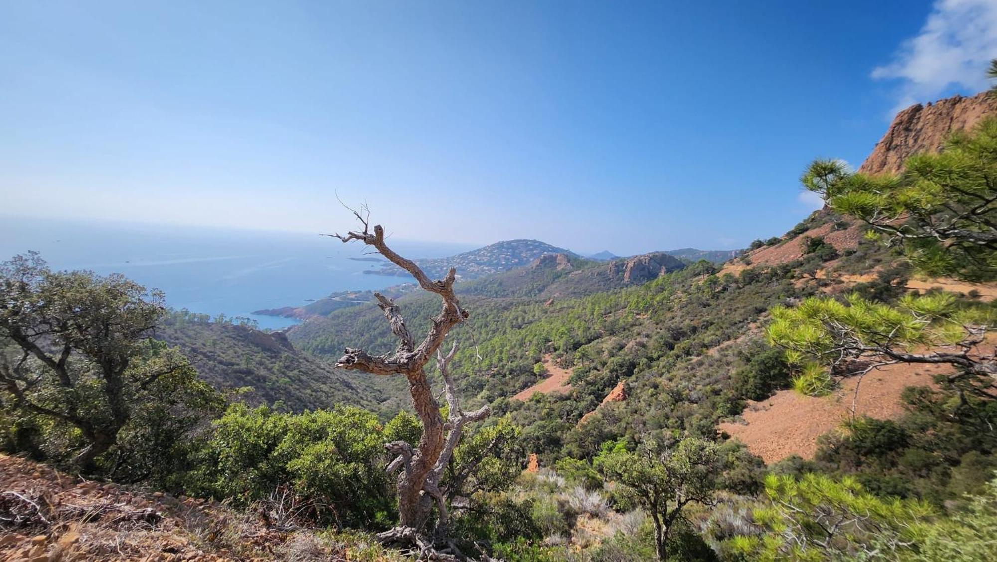 Saint-Raphael- Vue Mer Et Massif De L'Esterel Buitenkant foto
